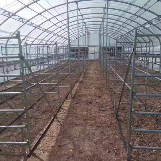 天津钢管大棚 我们公司主要生产大棚和大棚配件，以及各种钢材