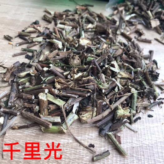  千里光中药材千里光500克15包邮