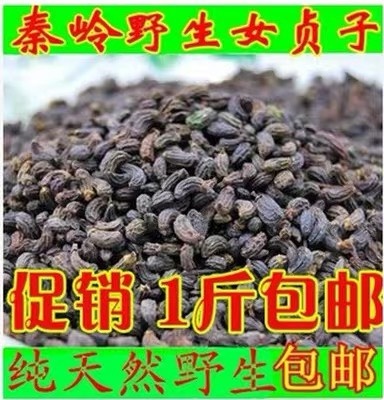  正品！无硫新货！月牙女贞子！批发，零售！一斤包邮到家！