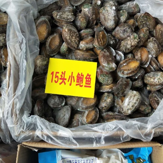 成都 高品质鲍鱼