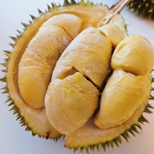  抄底价-马来西亚液氮速冻高山Xo榴莲原箱4-6头10kg/箱