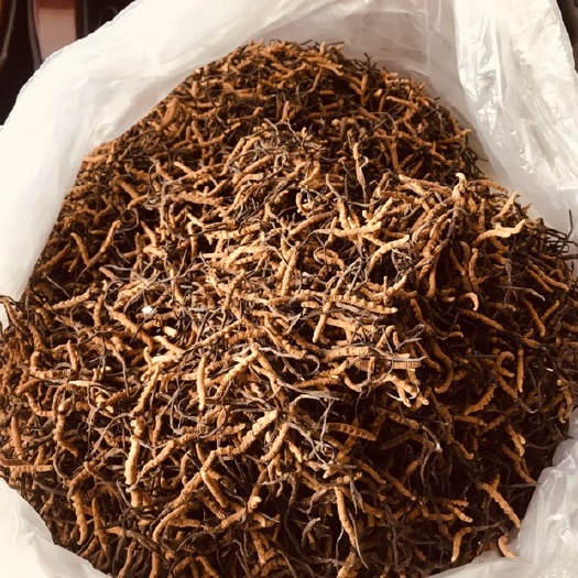 玛沁县果洛州雪山虫草