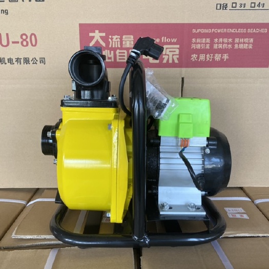 温岭市普通水泵 48-60v直流变频自吸泵