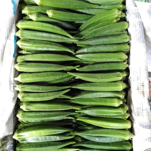 貴陽(yáng) 云南紅河秋葵大量供貨中