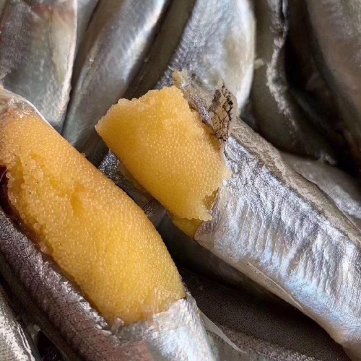 饶平县冻多春鱼 多春鱼