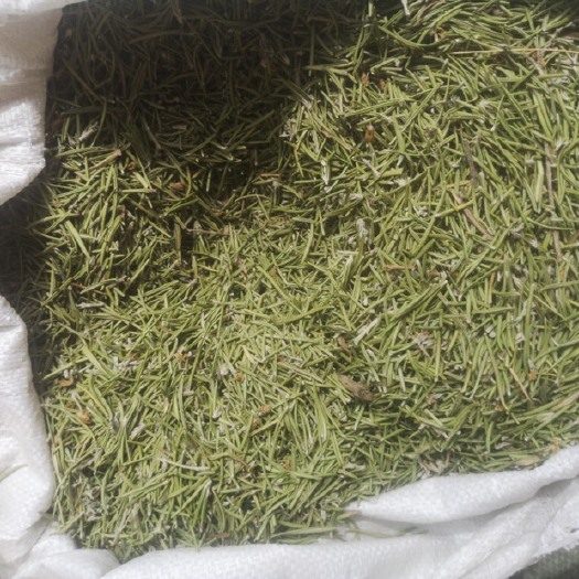 吉首市 迷迭香干叶——小叶品种