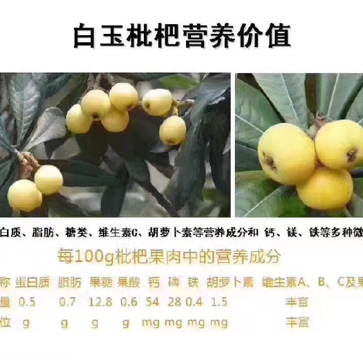 苏州白玉枇杷 统货