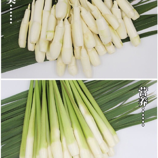 颍上县 双季茭白