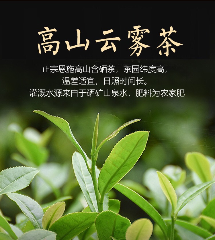 2024春茶湖北茶叶新品上架促销恩施高山硒茶灌装精品红茶