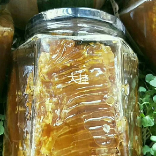 百花蜜  长期大量供应缅甸纯野 生大挂蜂蜜（带巢）