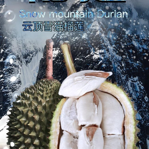 深圳 【新品上市】马来西亚高山云顶雪猫榴莲，4-6头10kg/箱