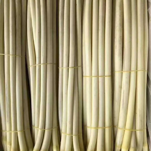 武汉 洪湖藕带
