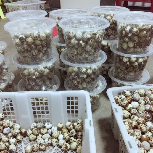 汨罗市 湖南省大量供应鹌鹑蛋