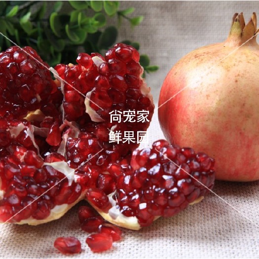 会理市 会理突尼斯软籽石榴