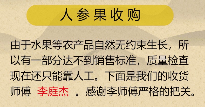 现摘现发甘肃民勤人参果新鲜水果黄肉中大果当季水果5斤包邮