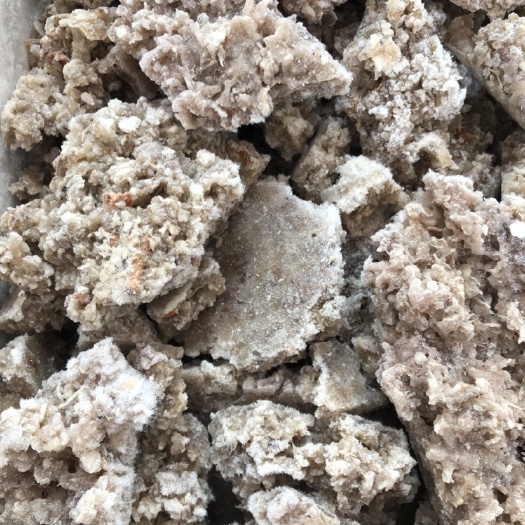 乳山市皮皮虾肉 皮皮虾碎肉 水饺馅专用 虾爬子肉