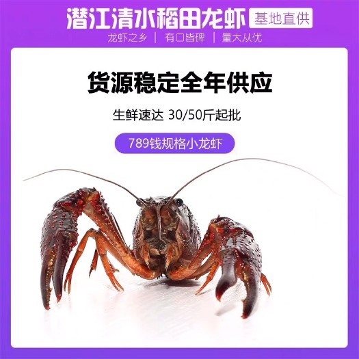 潜江市潜江小龙虾6789大青大红鲜活批发 青壳红壳分拣出来 干净