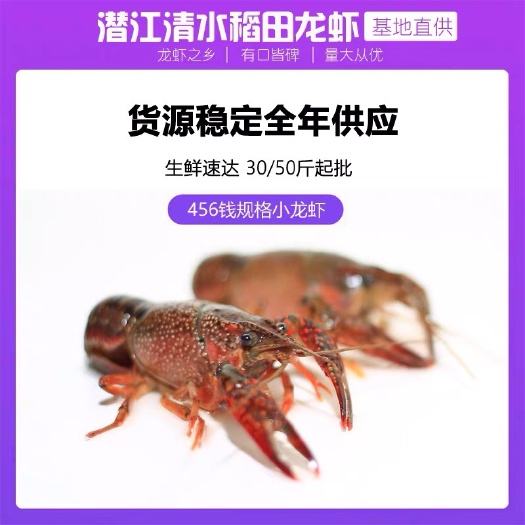 456规格小龙虾全国包邮批发 中青中红 清水虾干净饱满硬规