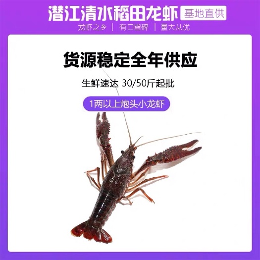 潜江本地鲜活清水小龙虾30/50斤各种规格红虾青虾批发全国