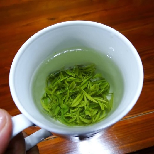 绩溪县绿茶  2021金山时雨绩溪名茶