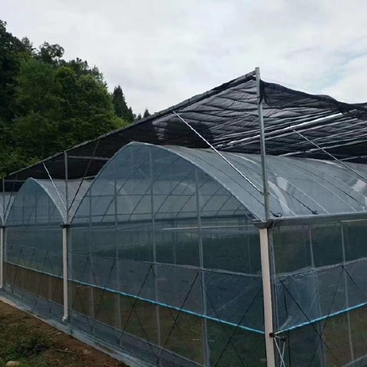 天津塑料薄膜温室大棚