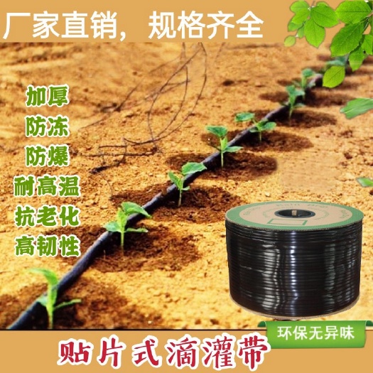 阳谷县贴片式滴灌带 草莓、土豆、山药滴灌、膜下滴灌，大棚内节水灌溉，滴灌带