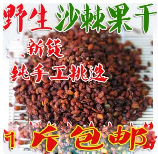 安国市沙棘 正品货！！新疆干货！无硫货！！干净无杂质！实拍图！