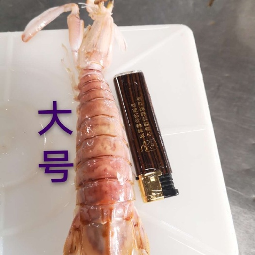 北海皮皮虾 