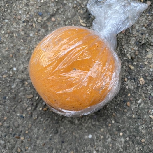 衢州 衢州胡柚