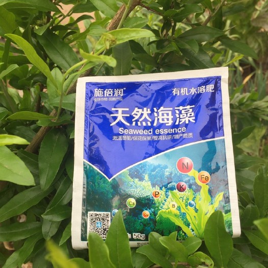 安丘市 叶面肥：天然海藻有机叶面肥，激活潜能/保花保果1提高抗逆