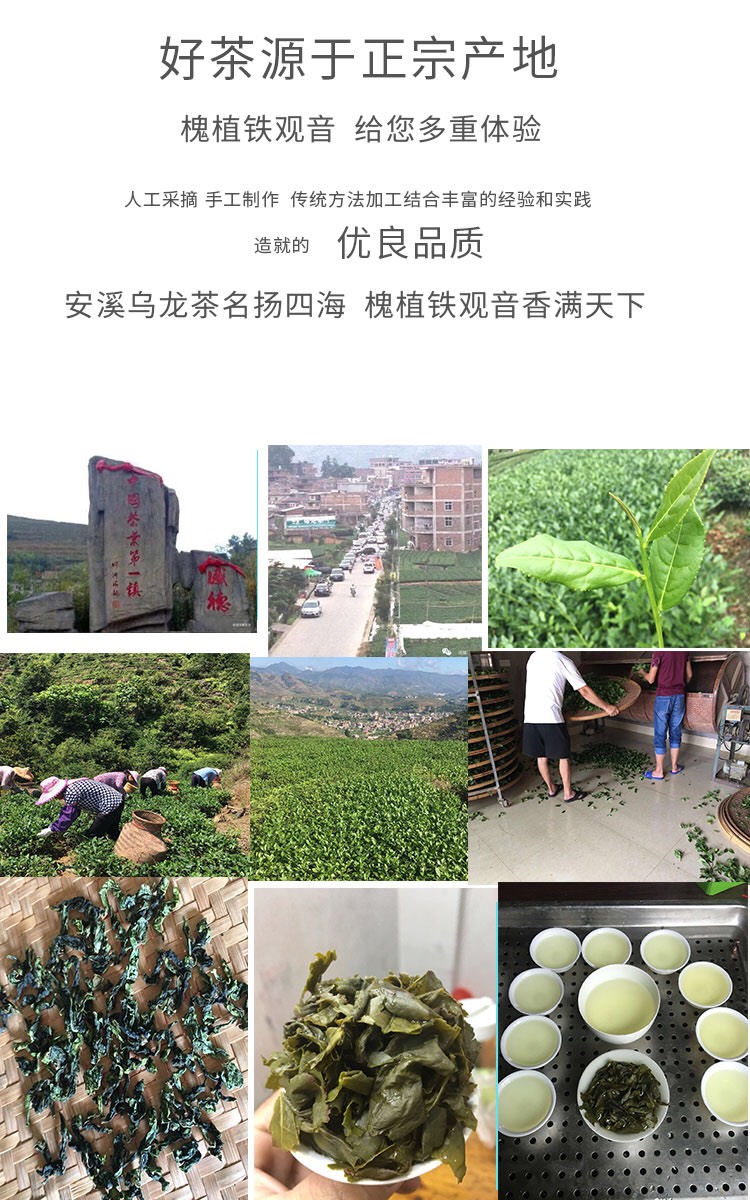 2023年春茶特级正味清香轻口味铁观音安溪感德镇槐植产地批发