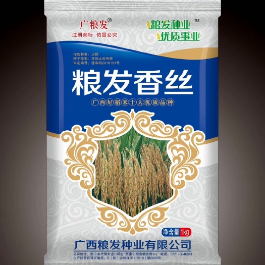  供应稻谷种子