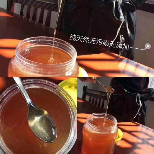 舞钢市土蜂蜜 槐花蜜