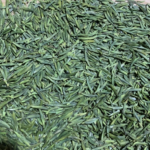 洪雅县绿茶  2021年明前头采竹叶青雀舌茶福选9号板栗香