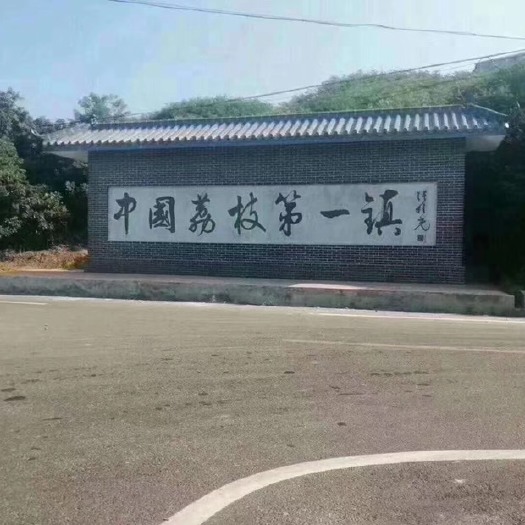 高州市白糖罂荔枝 2cm