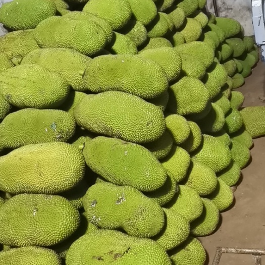 保亭县海南菠萝蜜 口感 香甜脆