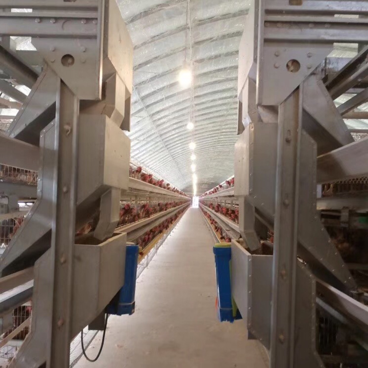 养殖设备全自动养鸡设备各式蛋鸡笼肉鸡笼育雏笼捡蛋机