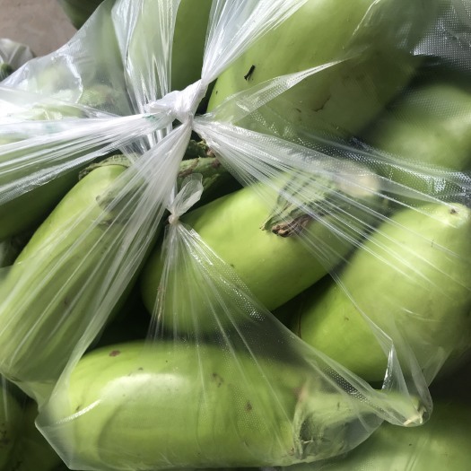 新野县蔬菜大棚 新鲜蔬菜大量上市   口感好  价格优