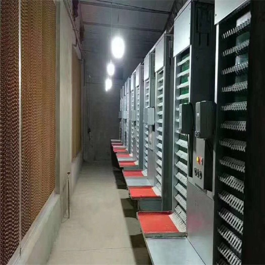 西平县养殖设备 全自动养鸡设备，各式蛋鸡笼，肉鸡笼，上料机，清粪系统集蛋系统