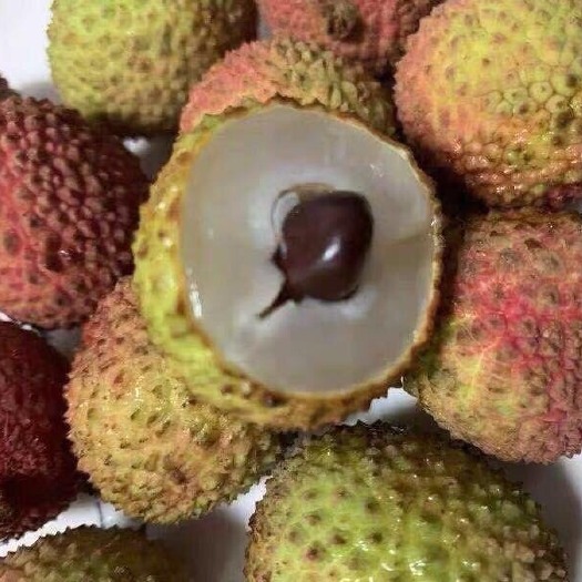 徐闻县 广东湛江妃子笑荔枝精选5斤大果