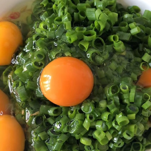 天津土鸡蛋 食用 礼盒装