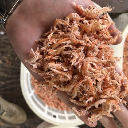 福州 南极磷虾干 10斤起批。