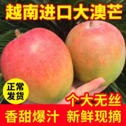 澳芒大芒果红芒特大新鲜水果非贵妃台芒凯特芒大青芒