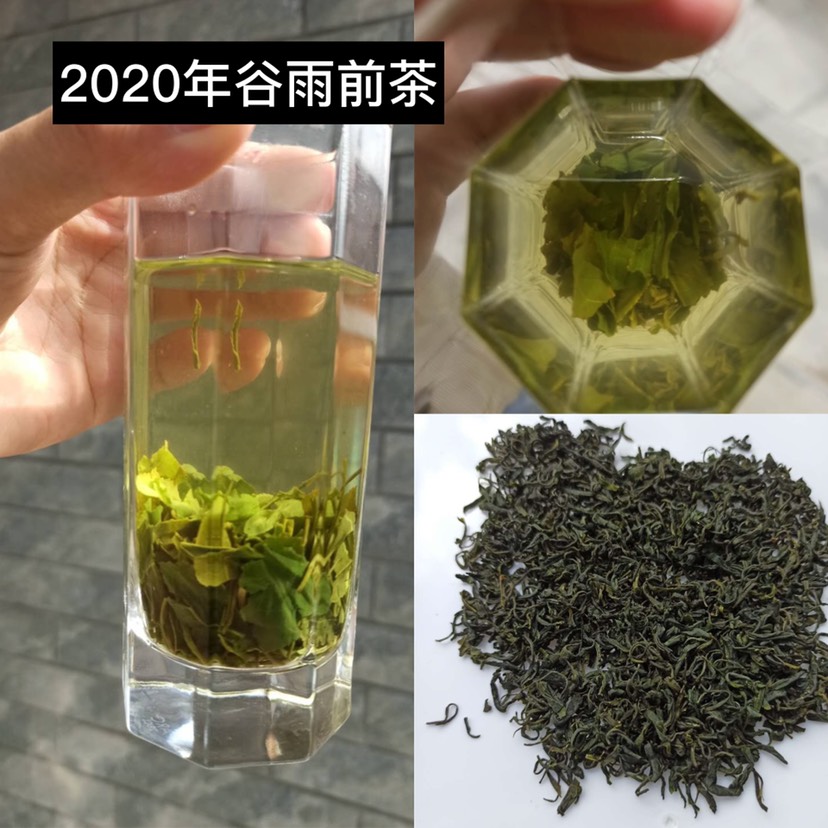 龙井茶 烘青茶，产地直供