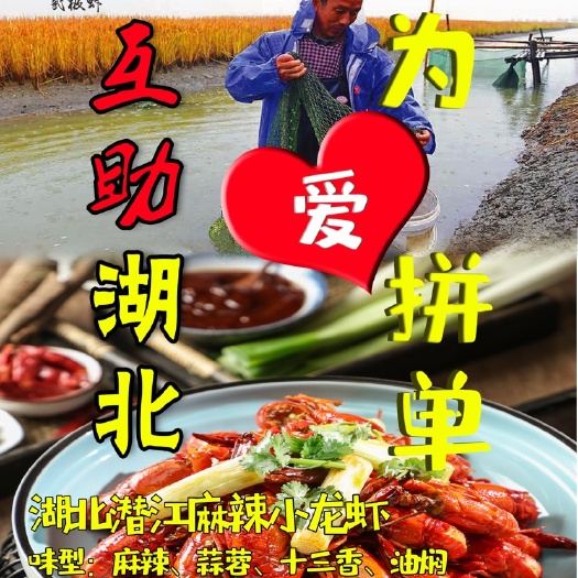 潜江市 潜江麻辣小龙虾熟食一件代发生鲜电商餐饮外卖全国包邮对接口种