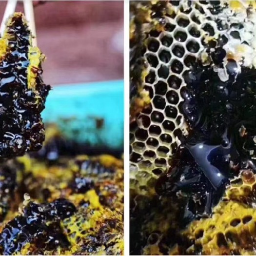 昆明黑蜂蜂蜜  缅甸天然黑蜂蜜