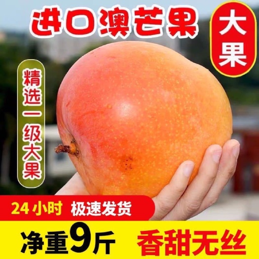 新鲜澳芒大芒果房当季现货3斤5斤8斤9斤苹果芒包邮代发