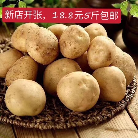宣恩县 恩施山区马尔科土豆
