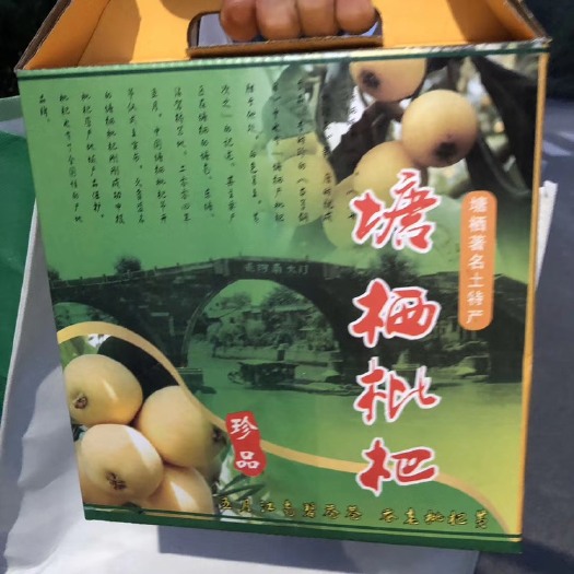 杭州塘栖白沙枇杷树 正宗的杭州塘栖的枇杷
