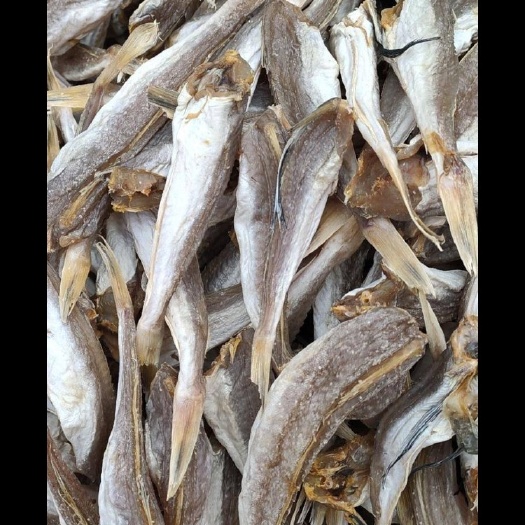 江门边鱼干 海产 角鱼 咸鱼干